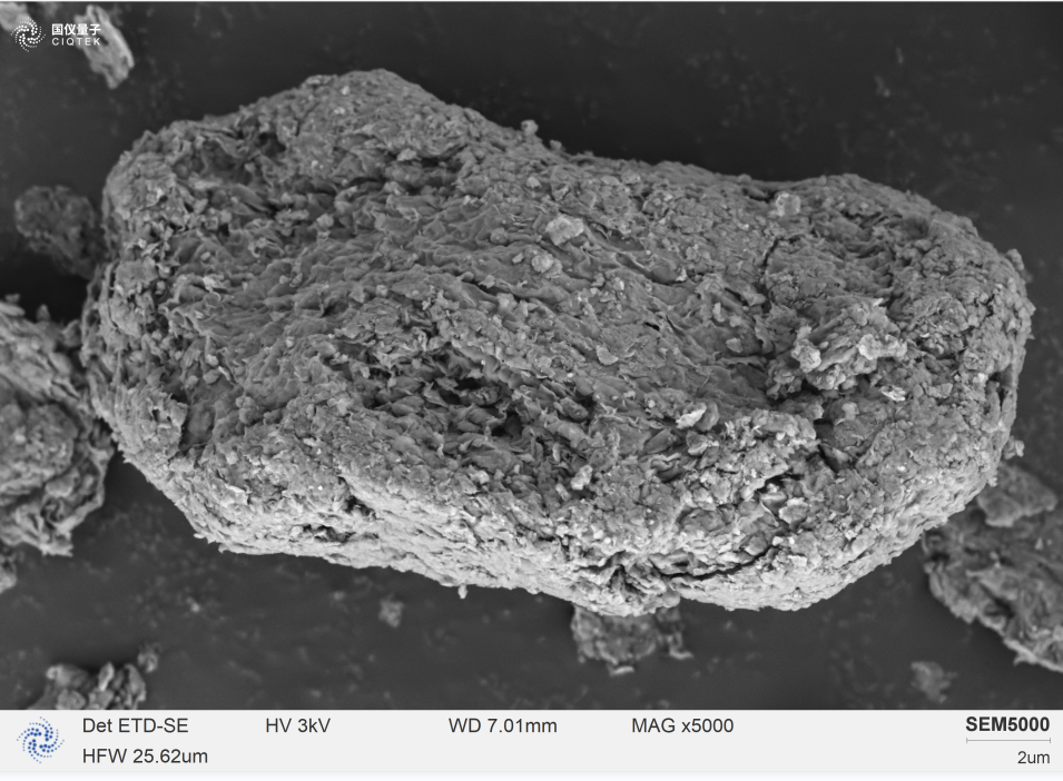 SEM5000 observó masas cristalinas laminares finas adheridas a la superficie de montmorillonita.