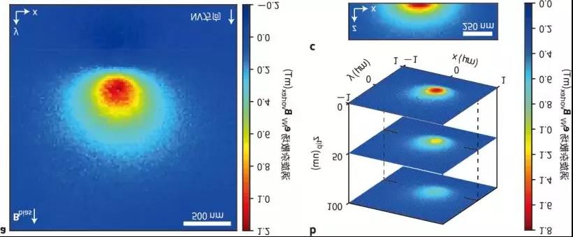 Imágenes cuantitativas de campos espurios de vórtices magnéticos únicos