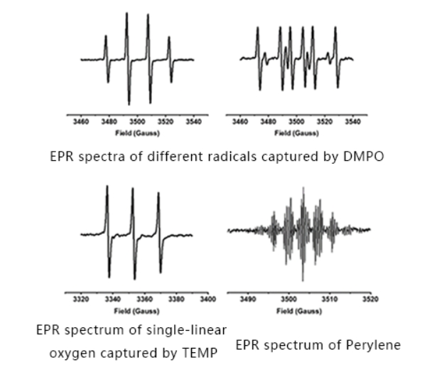 Aplicaciones del espectrómetro EPR Detección de radicales libres