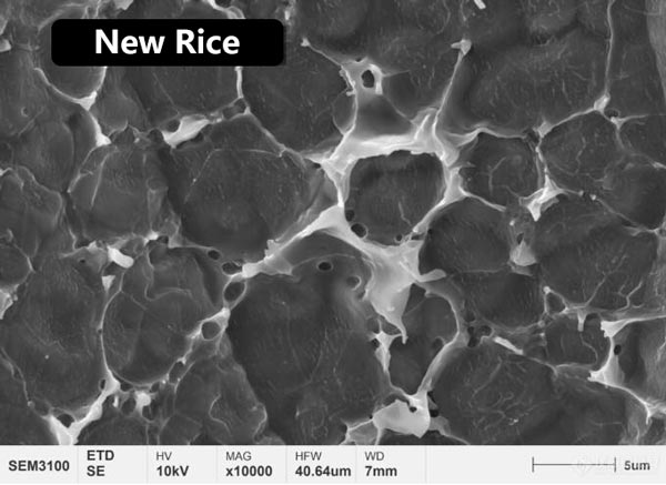 Figura 3 Morfología de la microestructura de la película proteica en la superficie del arroz nuevo y del arroz envejecido.