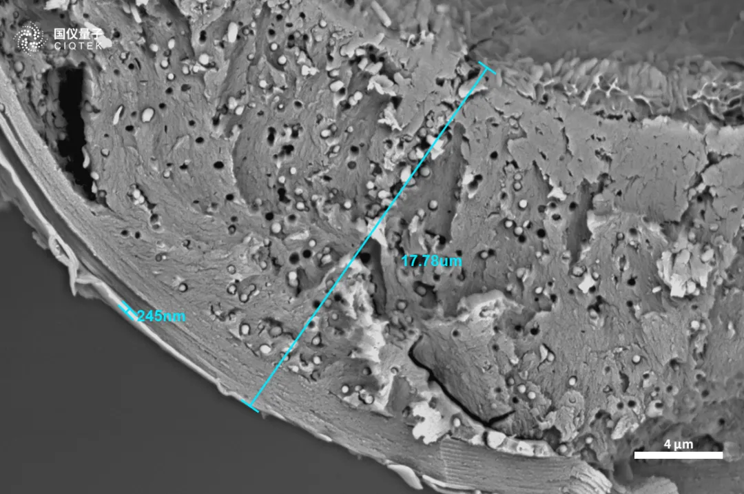 Microscopio electrónico de barrido con filamento de tungsteno CIQTEK