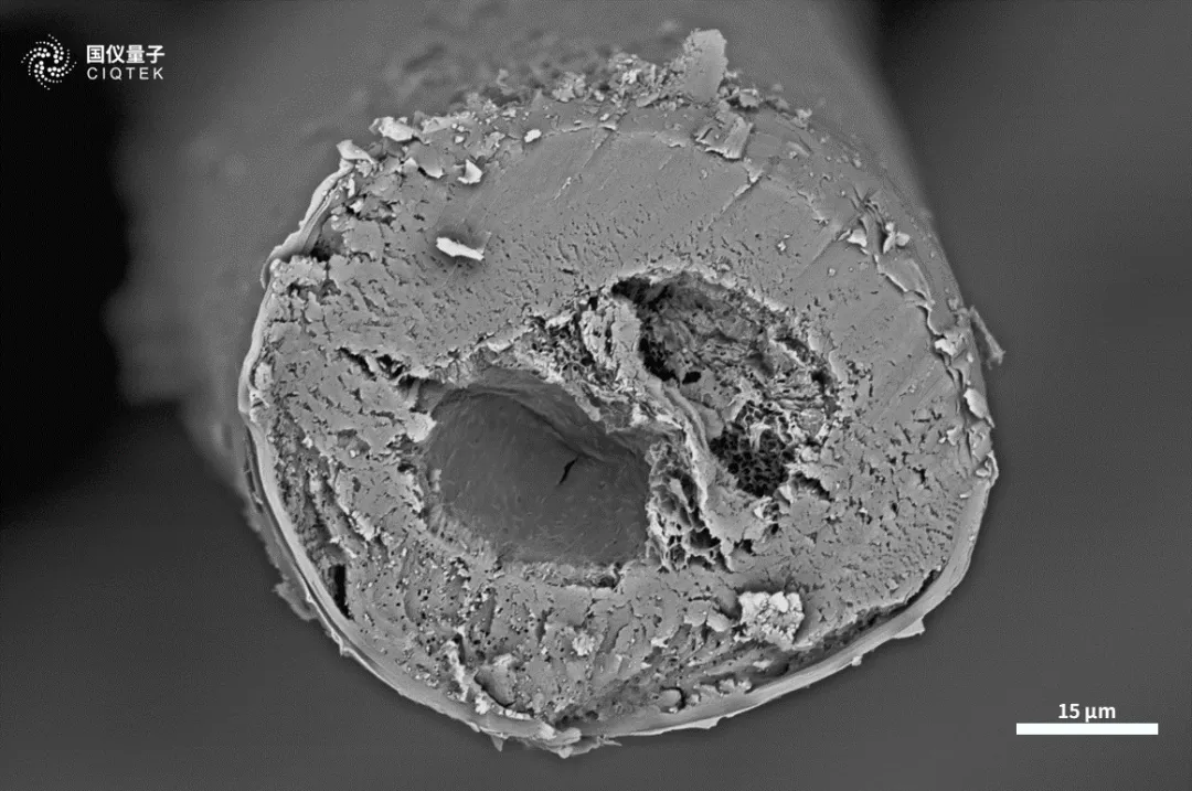 Microscopio electrónico de barrido con filamento de tungsteno CIQTEK