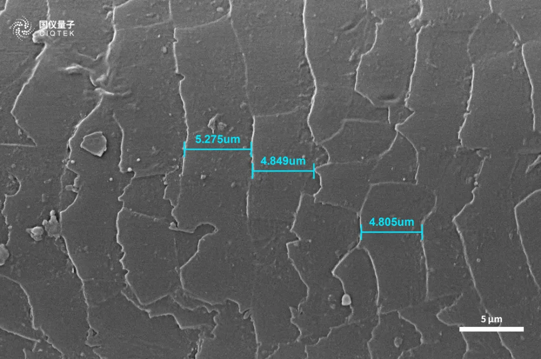 Microscopio electrónico de barrido con filamento de tungsteno CIQTEK