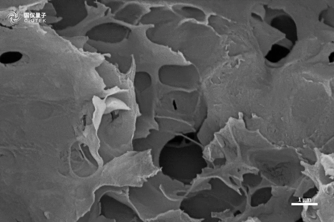 Microscopio electrónico de barrido con filamento de tungsteno CIQTEK