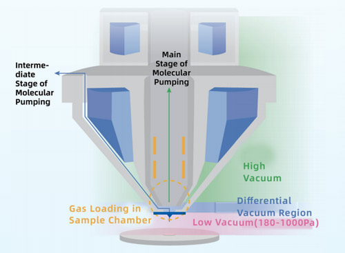 SEM Microscope Low Vacuum