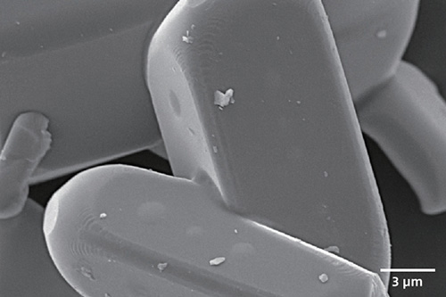 sem image analysis Ceramic powder