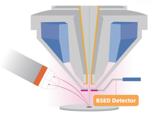 SEM Detector SEM BSED