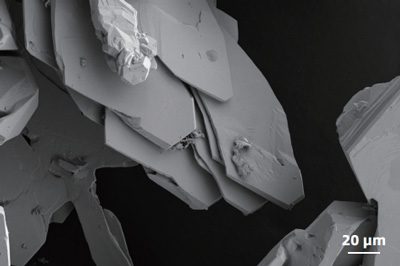 sem image analysis - Metallic silver