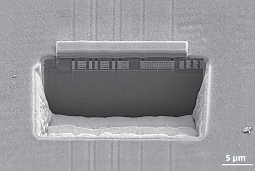 sem image analysis - Cross-Section Observation