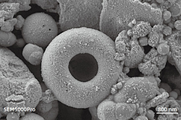 sem image analysis Polymer magnetic beads, characterized using a low-voltage 2 kV  with Everhart-Thornley Detector (ETD), exhibit a strong sense of  three-dimensionality.