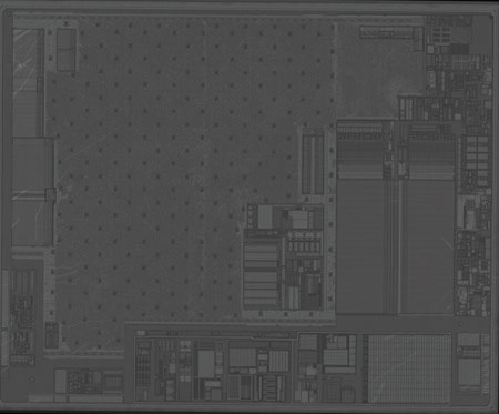 sem image analysis M1 Layer