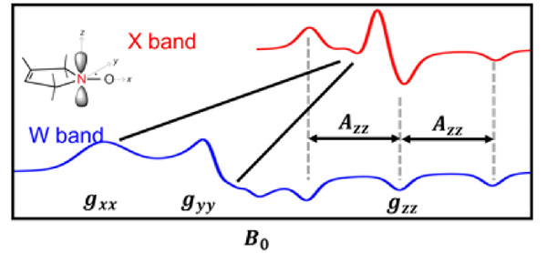 W-band EPR experimental results with higher g-factor resolution