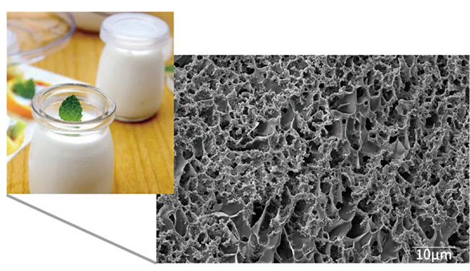 La solución Cryo-SEM de CIQTEK permite obtener imágenes de alta resolución y sin daños de muestras biológicas
