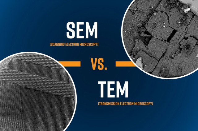 ¿Qué microscopio es más adecuado para usted? TEM o SEM