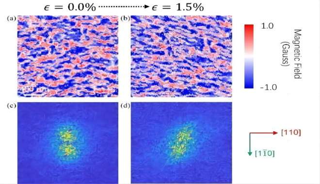 CIQTEK ayuda a la investigación de imágenes magnéticas de película delgada antiferromagnética