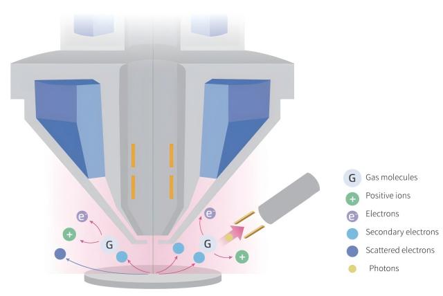 Preguntas frecuentes sobre el microscopio electrónico de barrido (SEM)