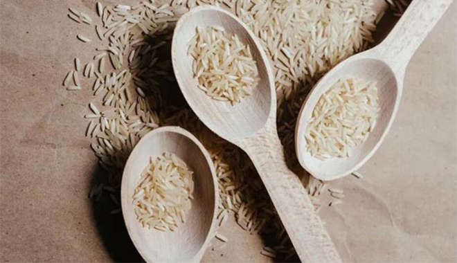 Explorando el arroz: aplicaciones del microscopio electrónico de barrido (SEM)
